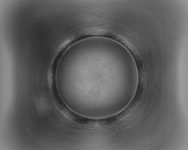 X0000113240679200909101409