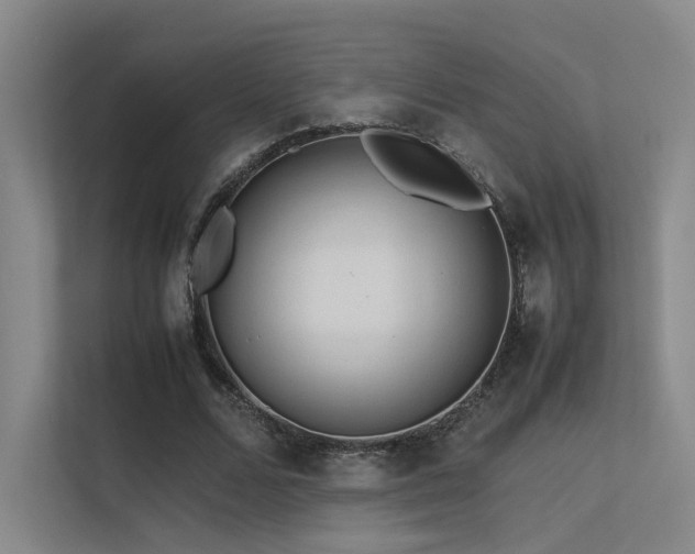 X0000113240680200909101409