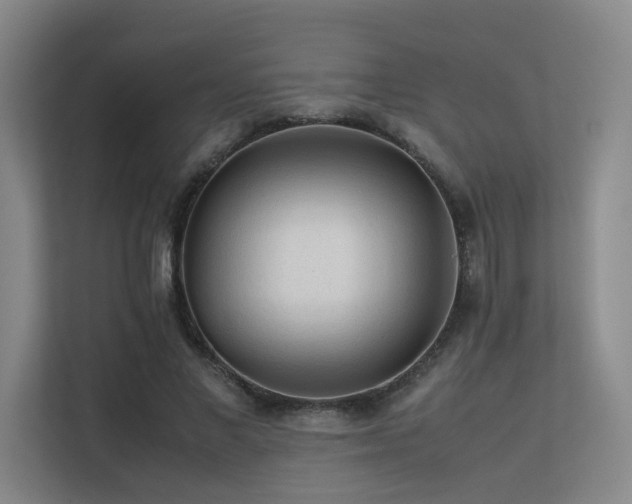 X0000113240685200909101409