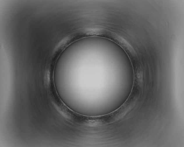 X0000113240686200909101409