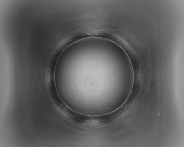 X0000113240687200909101409