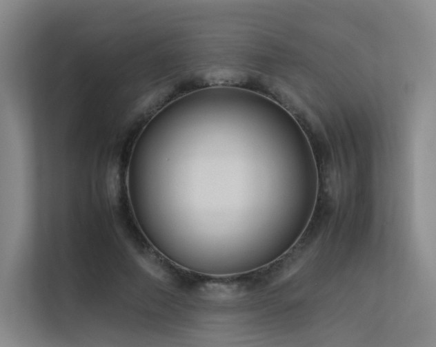 X0000113240690200909101408