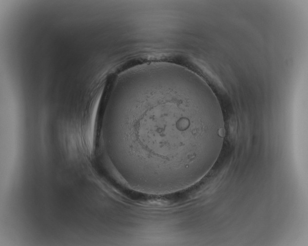 X0000113240691200909101408