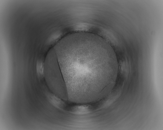 X0000113240692200909101408