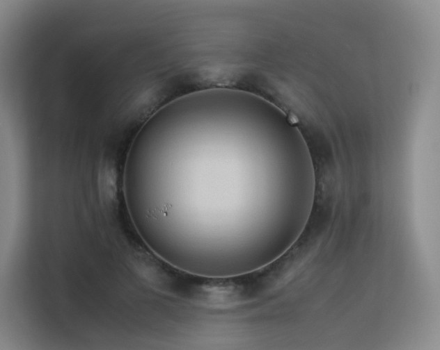 X0000113240693200909101408