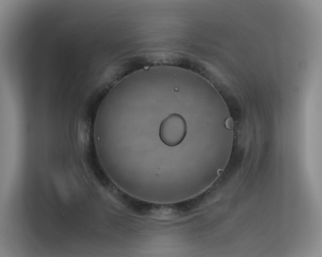 X0000113240695200909101408