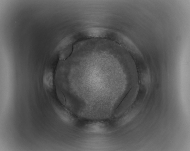 X0000113240696200909101408