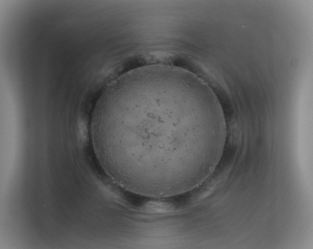 X0000113240699200909101408