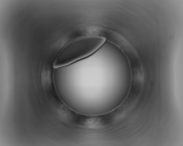 X0000113240700200909101408