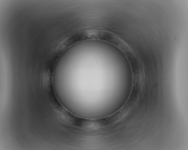 X0000113240702200909101408