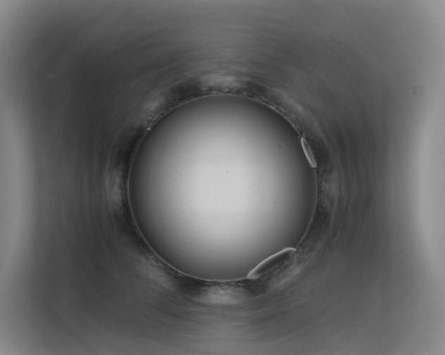 X0000113240708200909101408