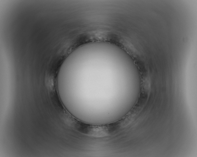 X0000113240709200909101408