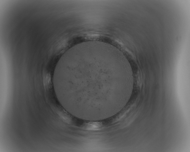 X0000113240711200909101408