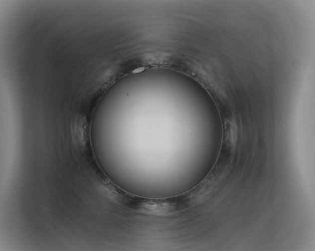 X0000113240712200909101408