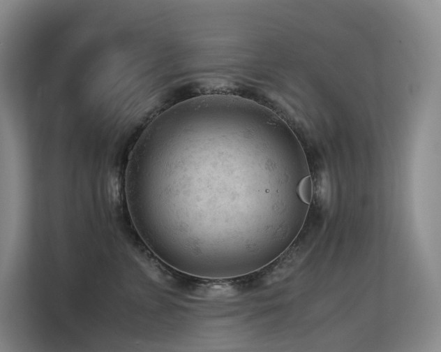 X0000113240715200909101408