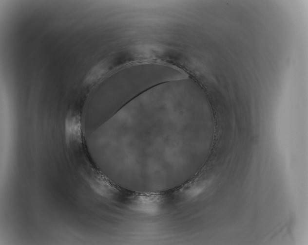 X0000113240720200909101408