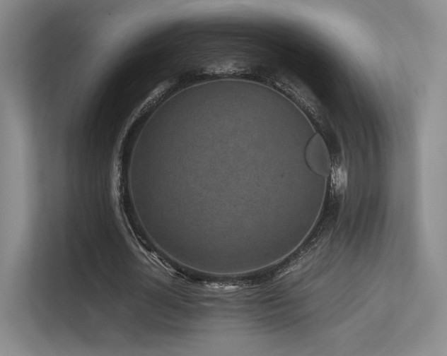 X0000113240724200909101408