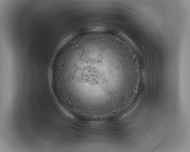 X0000113240725200909101408