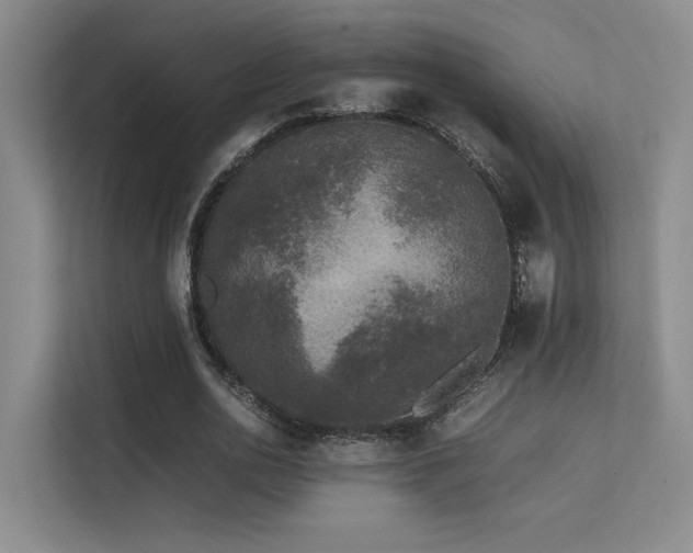 X0000113240726200909101408