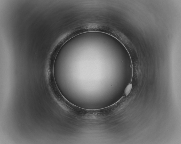 X0000113240728200909101408