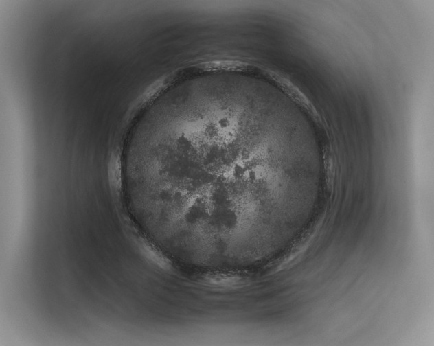 X0000113240729200909101408