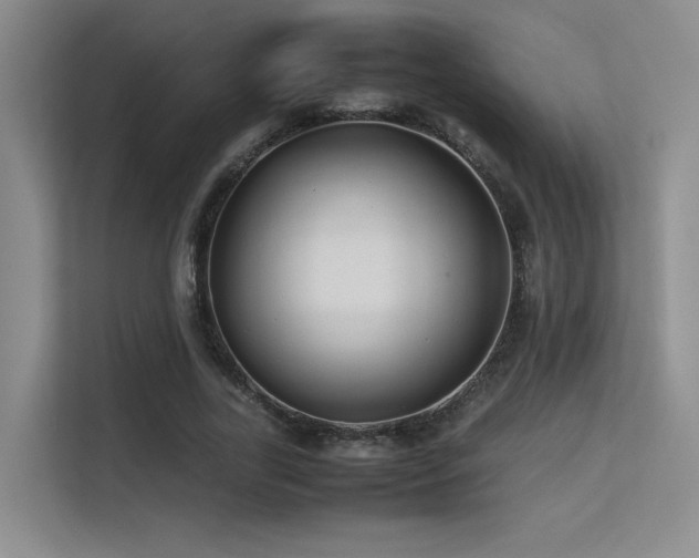 X0000113240731200909101408