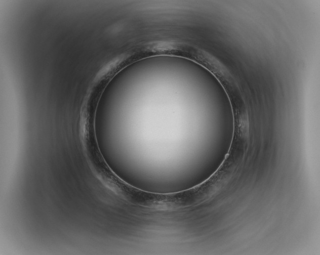 X0000113240732200909101408