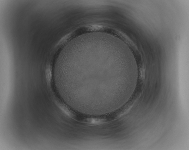 X0000113240733200909101408