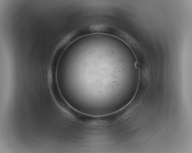 X0000113240734200909101408