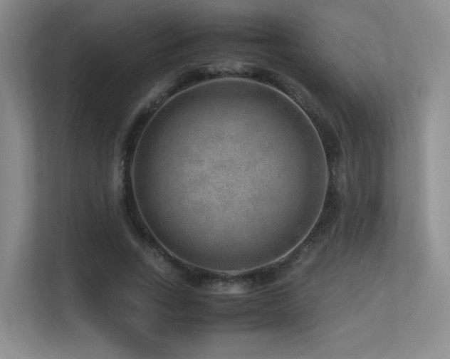 X0000113240735200909101408