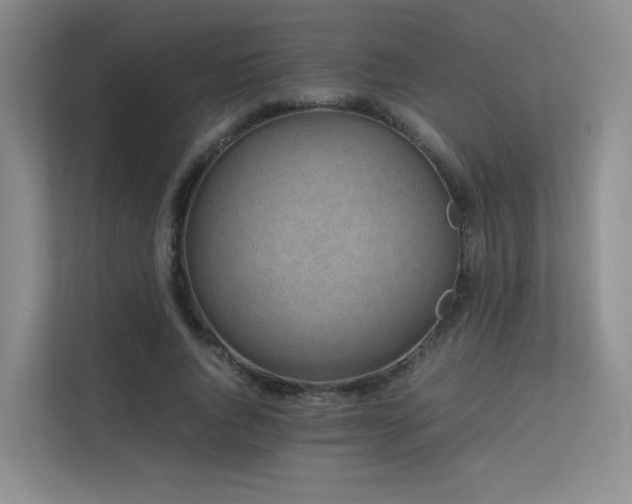 X0000113240736200909101408