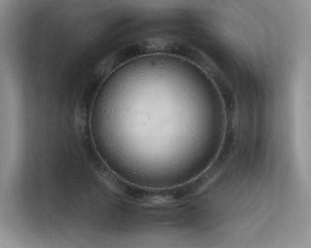 X0000113240737200909101408