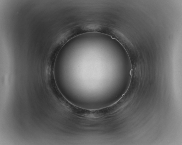 X0000113240739200909101408