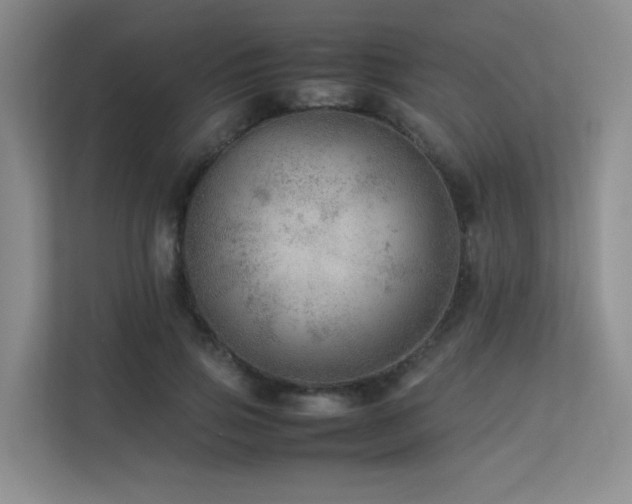 X0000113240741200909101408