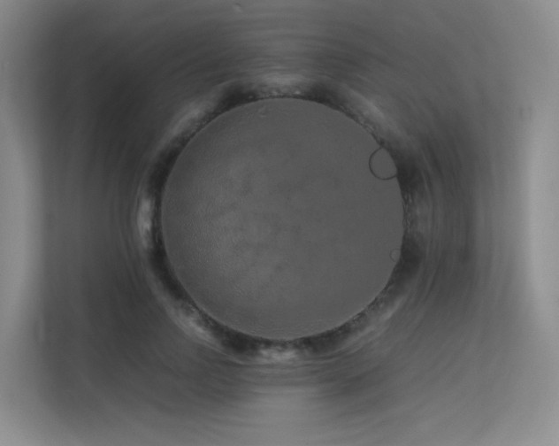 X0000113240742200909101408