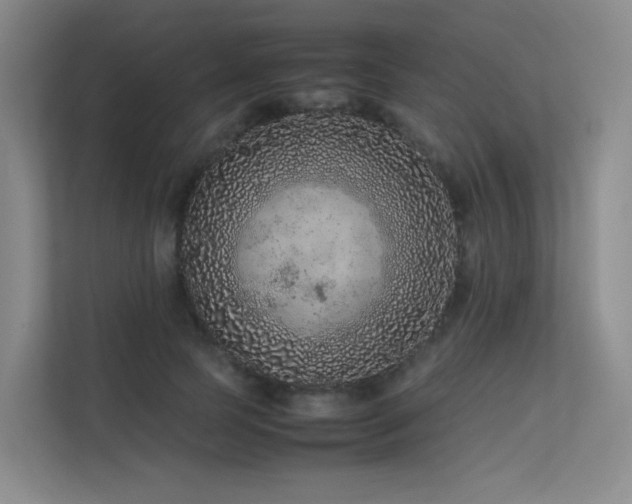 X0000113240745200909101408