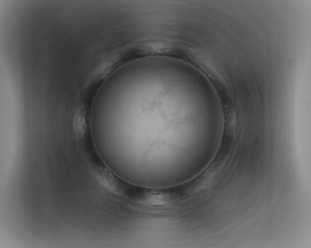 X0000113240746200909101408