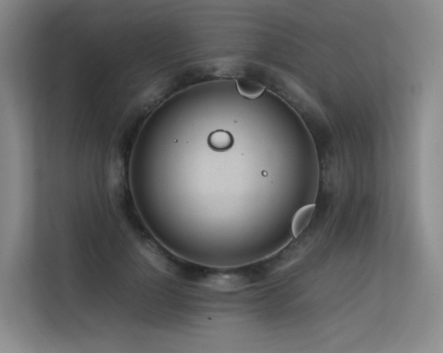 X0000113240748200909101408