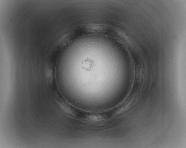 X0000113240749200909101408