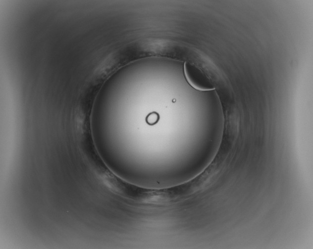 X0000113240750200909101408