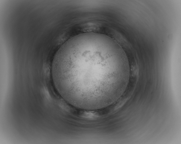 X0000113240753200909101408