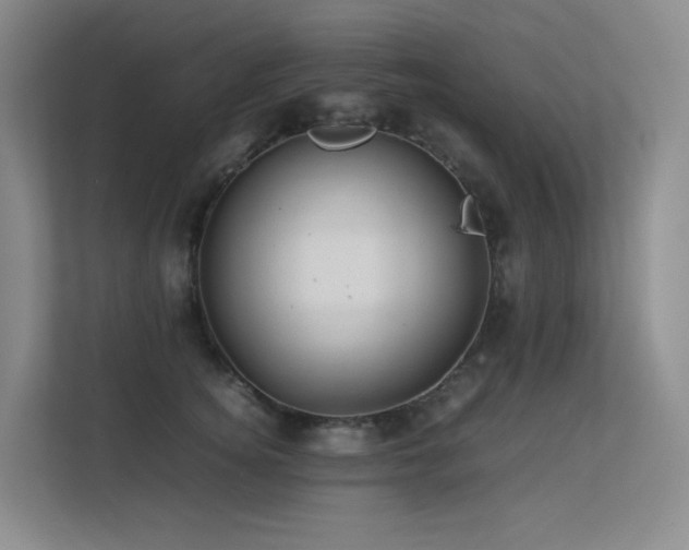 X0000113240756200909101408