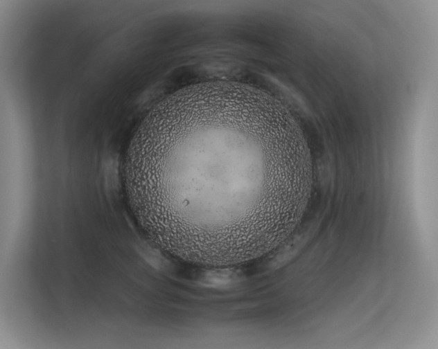 X0000113240757200909101408