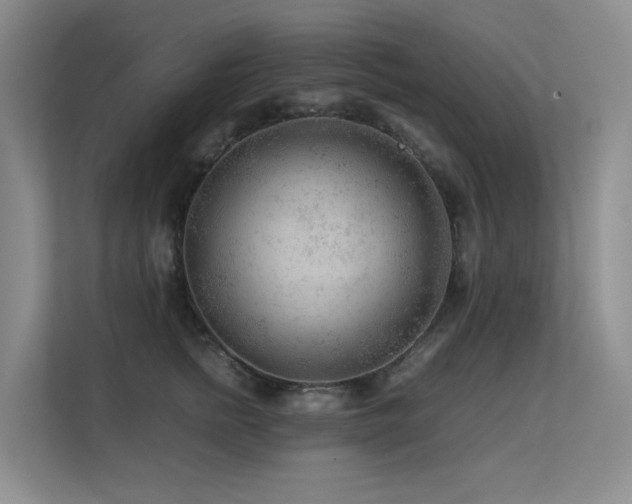 X0000113240758200909101408