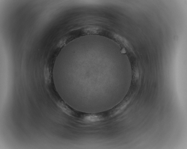 X0000113240759200909101408