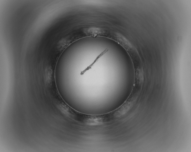 X0000113240760200909101408