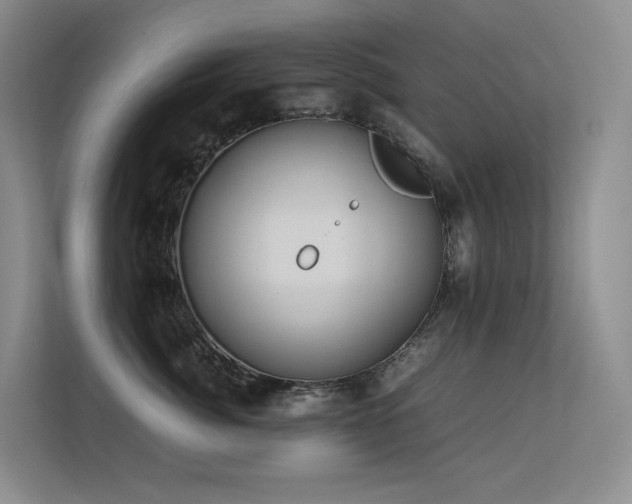 X0000113240764200909101408