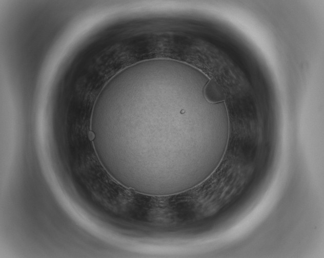 X0000113240766200909101408