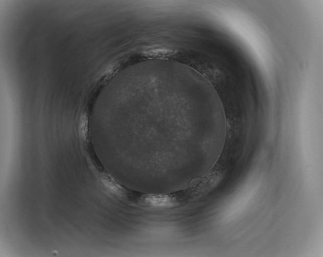 X0000113240767200909101408