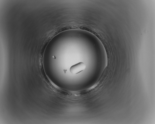 X0000113240768200909101408